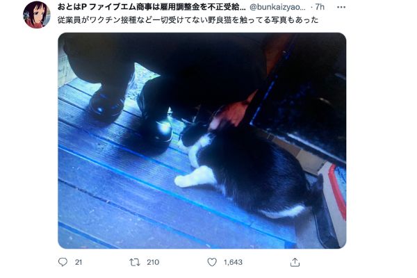 大阪王将中田店の猫